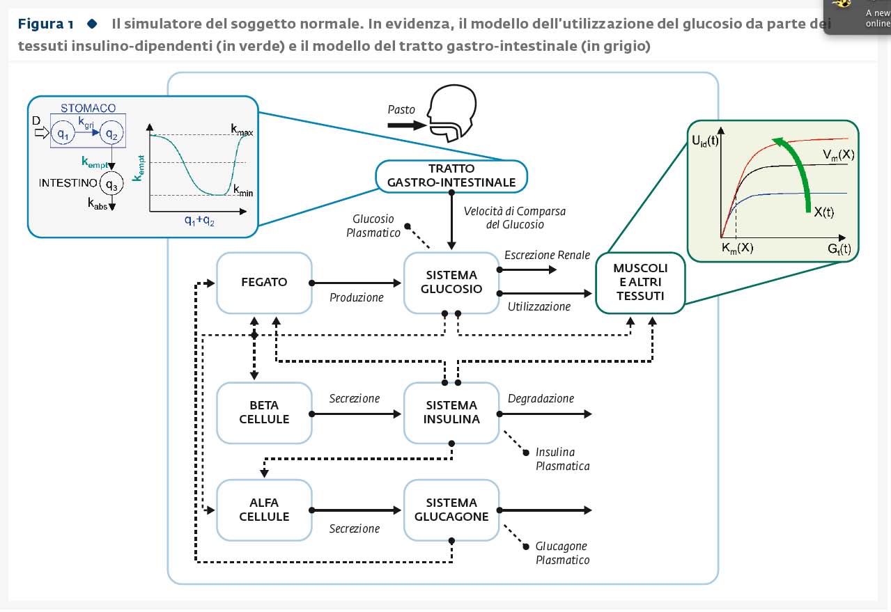 I modelli massimi del metabolismo del glucosio nel diabete: perché, come e quando usarli I modelli massimi del metabolismo del glucosio nel diabete: perché, come e quando usarli