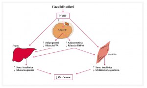 Figura1_Pioglitazione