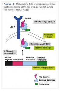 Figura2_PSK9