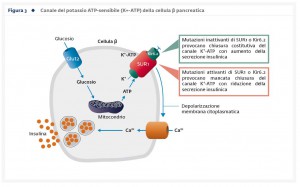 Figura3_Farmacogenitica