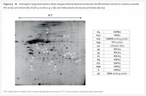 Figura 4_ Immagini