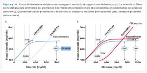Figura 4_Curva di titolazione