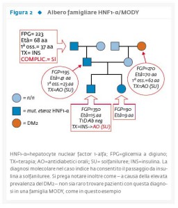 Fig_2_MODY