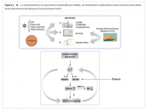 Fig_2_Metabolomica