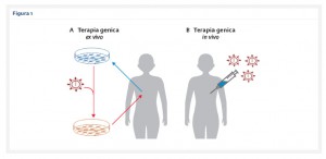 28_4_Medicina_4_Fig.1