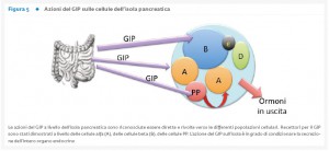 29_2_Rassegna_2_Fig.5